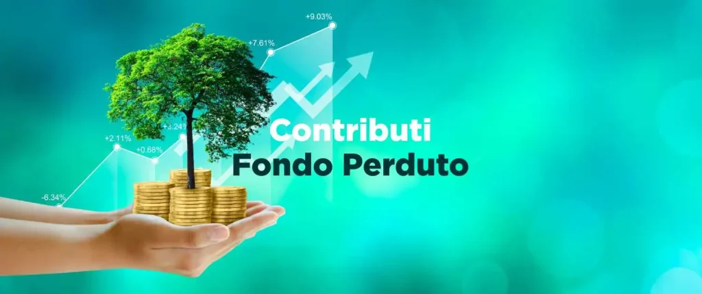 Finanza Agevolata e Fondo Perduto: Come Accedere ai Bandi per Sostenere gli Investimenti Aziendali